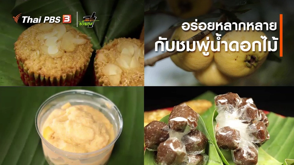 คลิปบ้านทุ่ง : อร่อยหลากหลายกับชมพู่น้ำดอกไม้