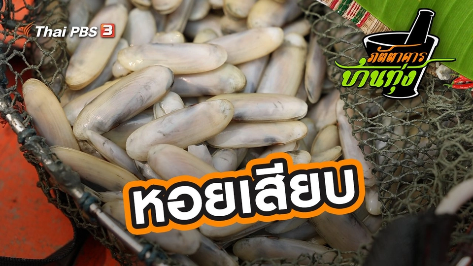 หอยเสียบ