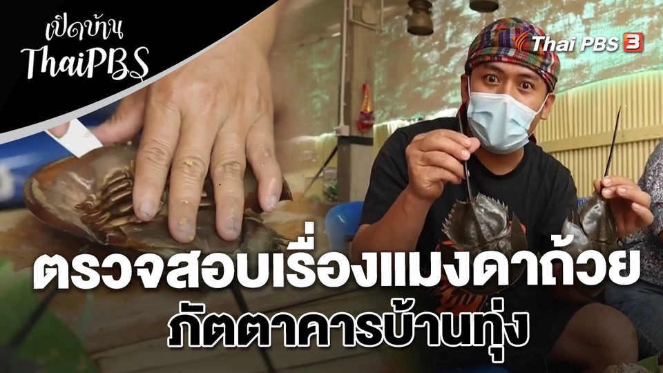 ตรวจสอบเรื่องแมงดาถ้วย ภัตตาคารบ้านทุ่ง