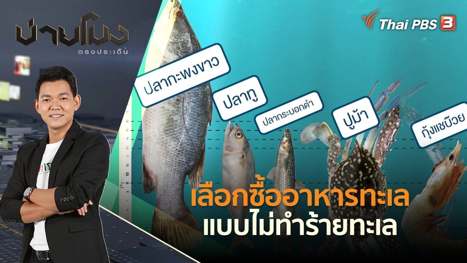 เลือกซื้ออาหารทะเล แบบไม่ทำร้ายทะเล  | บ่ายโมง ตรงประเด็น | 1 มิ.ย. 65
