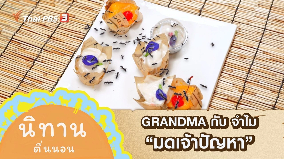 GRANDMA กับ จำไม : มดเจ้าปัญหา