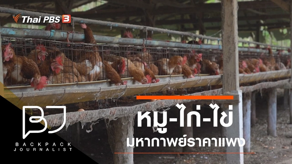 หมู-ไก่-ไข่ มหากาพย์ราคาแพง
