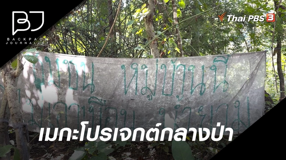 เมกะโปรเจกต์กลางป่า