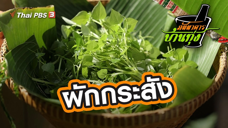 ผักกระสัง