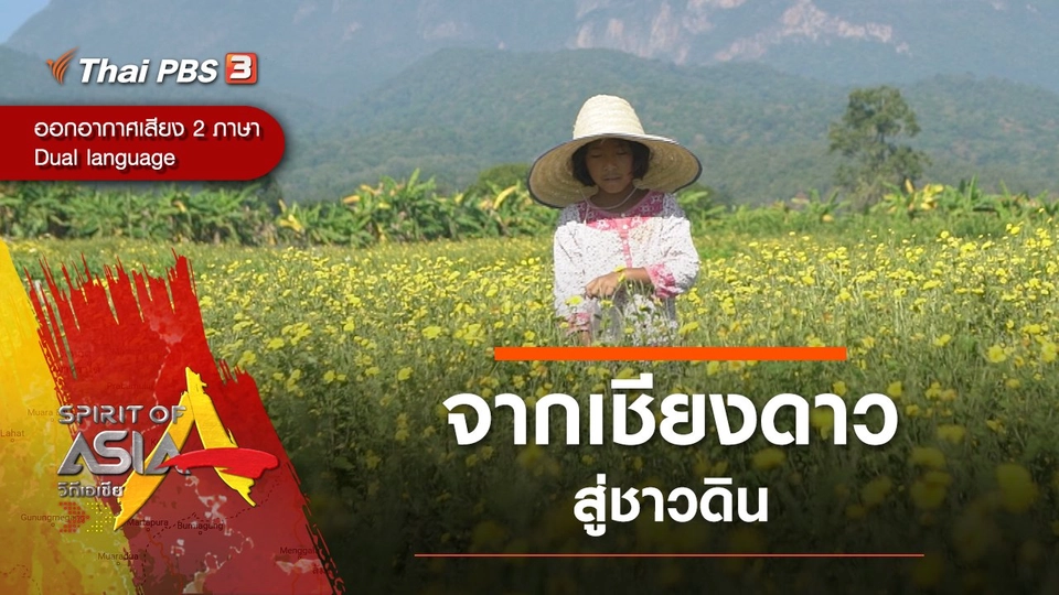 จากเชียงดาวสู่ชาวดิน