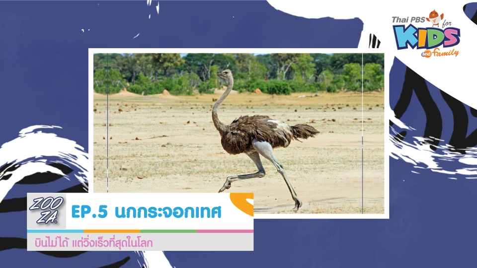 นกกระจอกเทศ