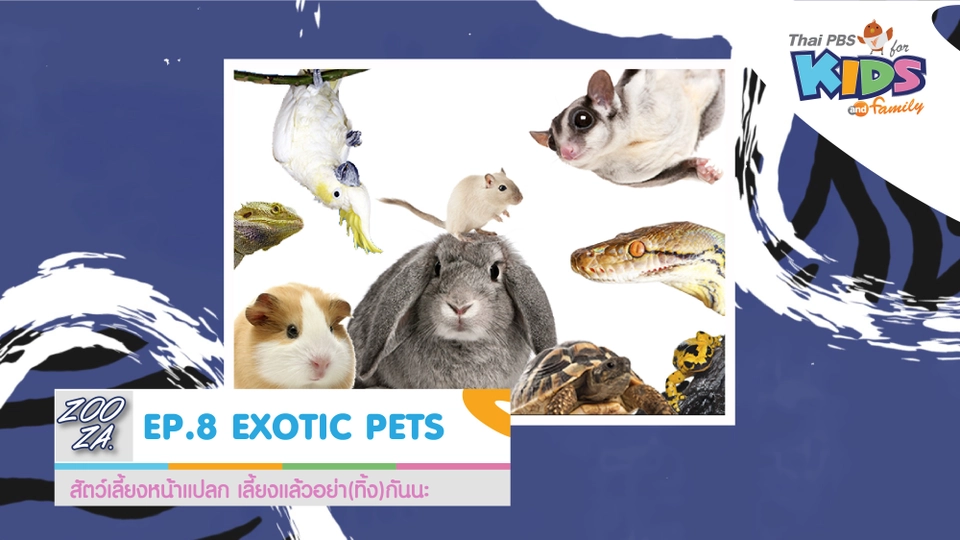 EXOTIC PETS