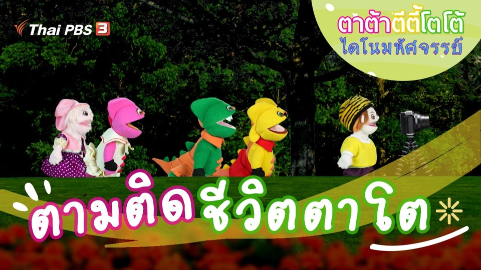 ตามติดชีวิตตาโต