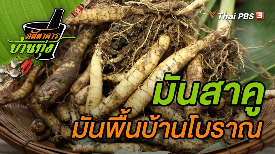 มันสาคู