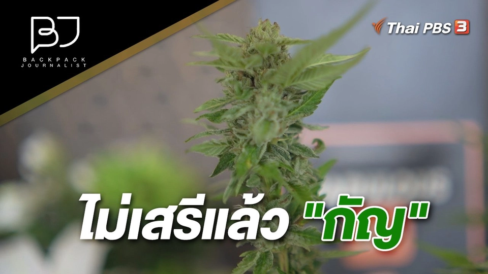 ไม่เสรีแล้ว "กัญ"