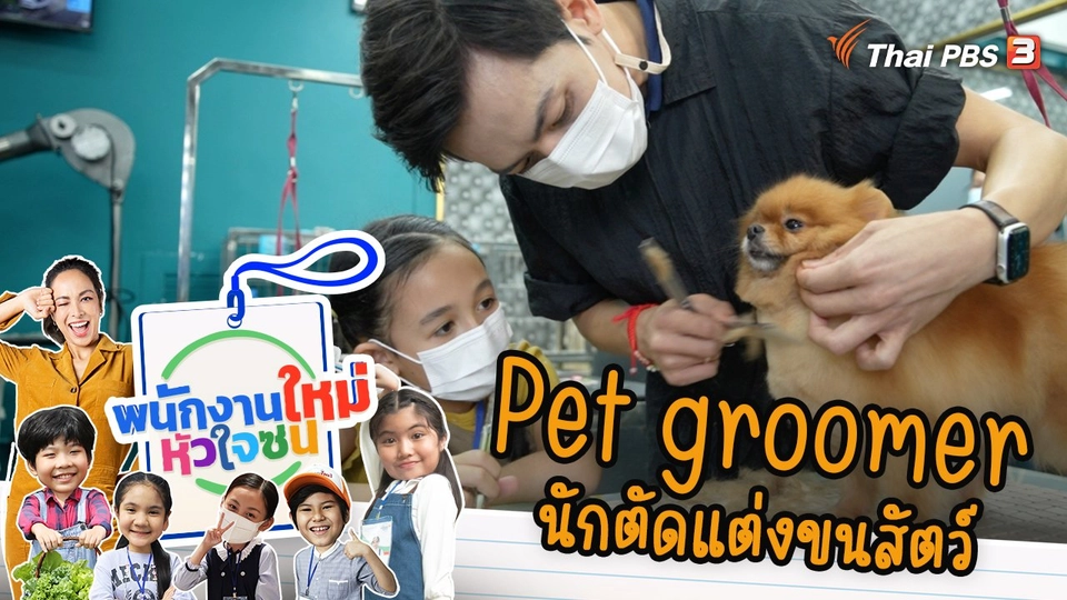 Pet groomer นักตัดแต่งขนสัตว์