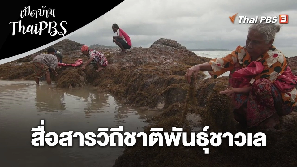 สื่อสารวิถีชาติพันธุ์ชาวเล