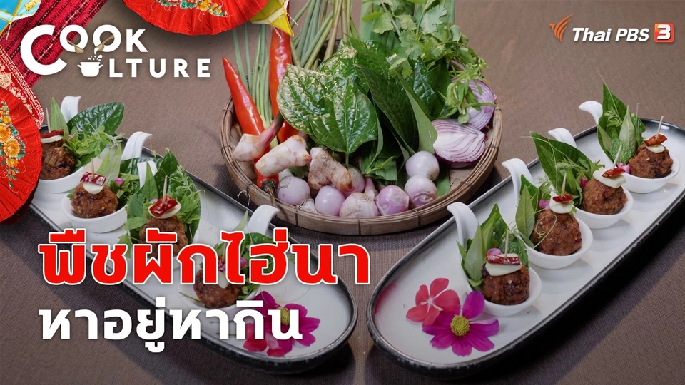 พืชผักไฮ่นาหาอยู่หากิน