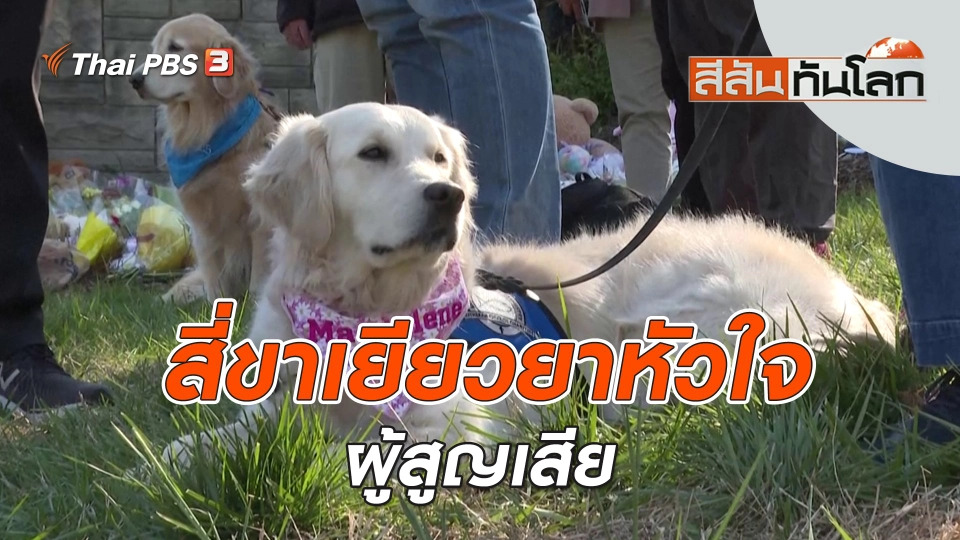 สี่ขาเยียวยาหัวใจผู้สูญเสีย | สีสันทันโลก | 2 เม.ย. 66