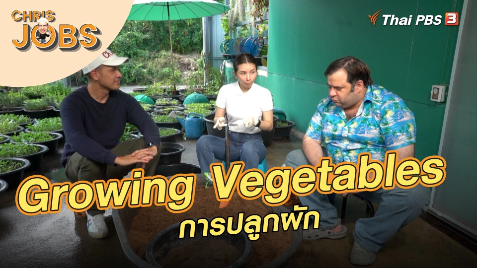 Growing Vegetables