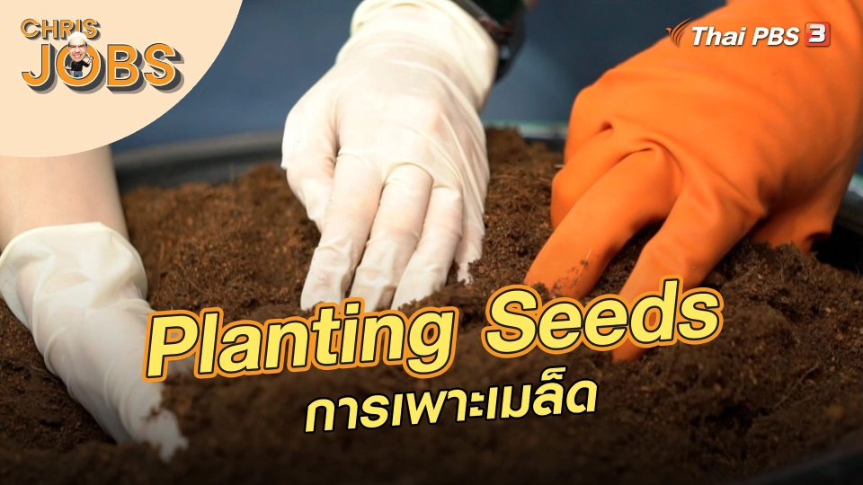 Planting Seeds