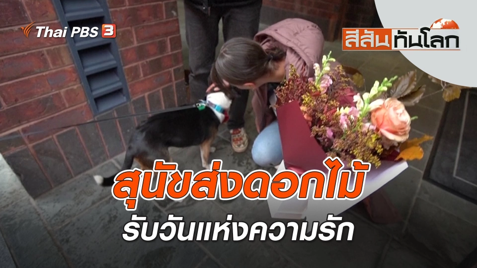 สุนัขส่งดอกไม้รับวันแห่งความรัก | สีสันทันโลก | 18 ก.พ. 66