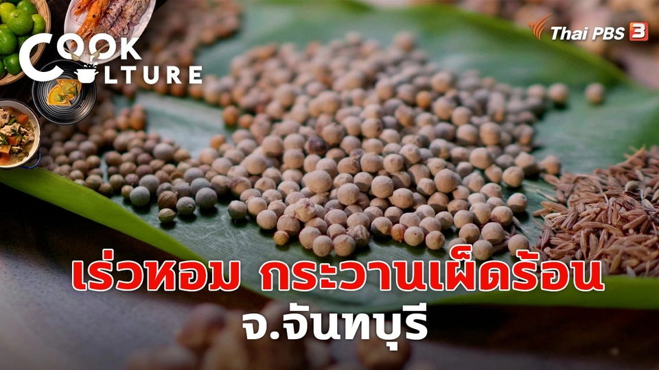 เร่วหอม กระวานเผ็ดร้อน จ.จันทบุรี