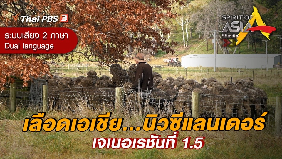 เลือดเอเชีย…นิวซีแลนเดอร์ เจเนอเรชันที่ 1.5