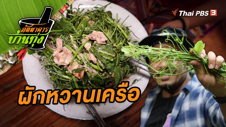 ผักหวานเครือ