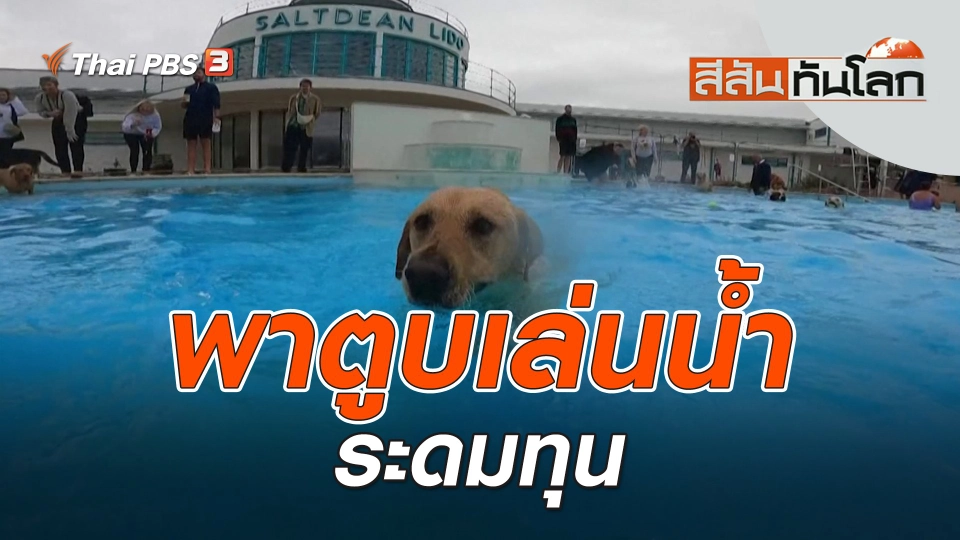 พาตูบเล่นน้ำระดมทุน | สีสันทันโลก | 1 ต.ค. 66