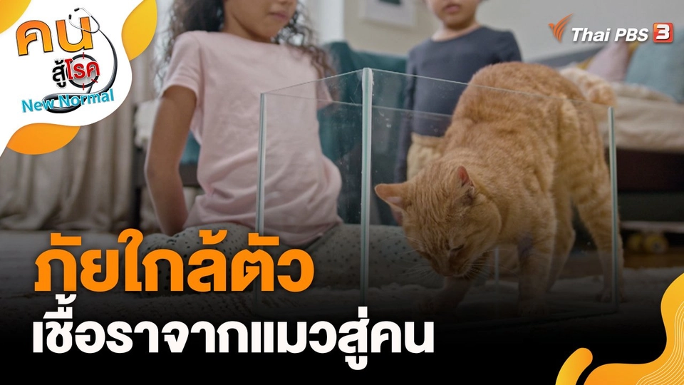 ภัยใกล้ตัว เชื้อราจากแมวสู่คน