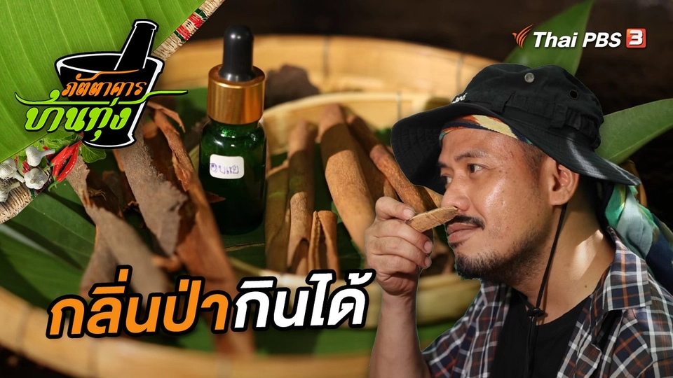 กลิ่นป่ากินได้