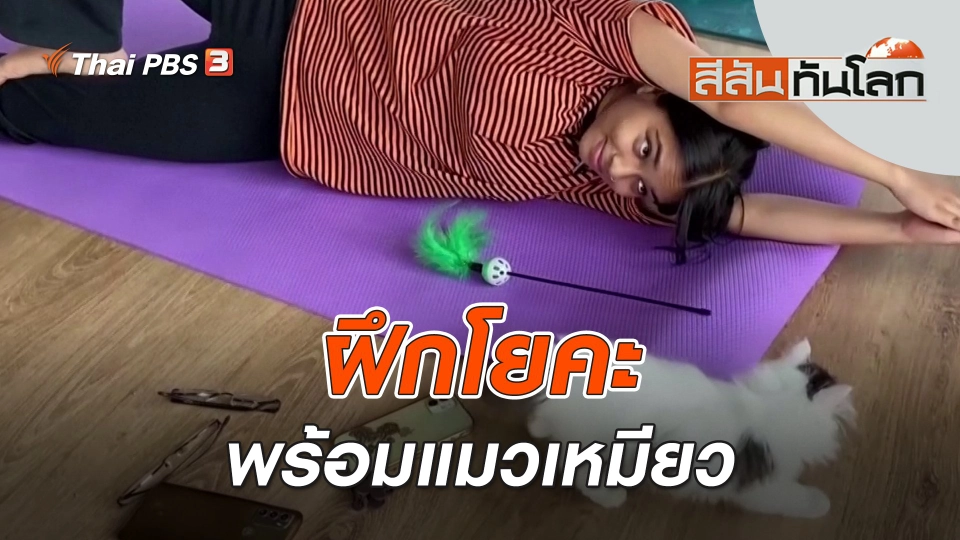 ฝึกโยคะพร้อมแมวเหมียว | สีสันทันโลก | 12 ส.ค. 66
