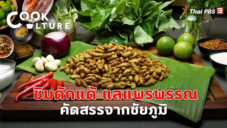 ชิมดักแด้ แลแพรพรรณ คัดสรรจากชัยภูมิ
