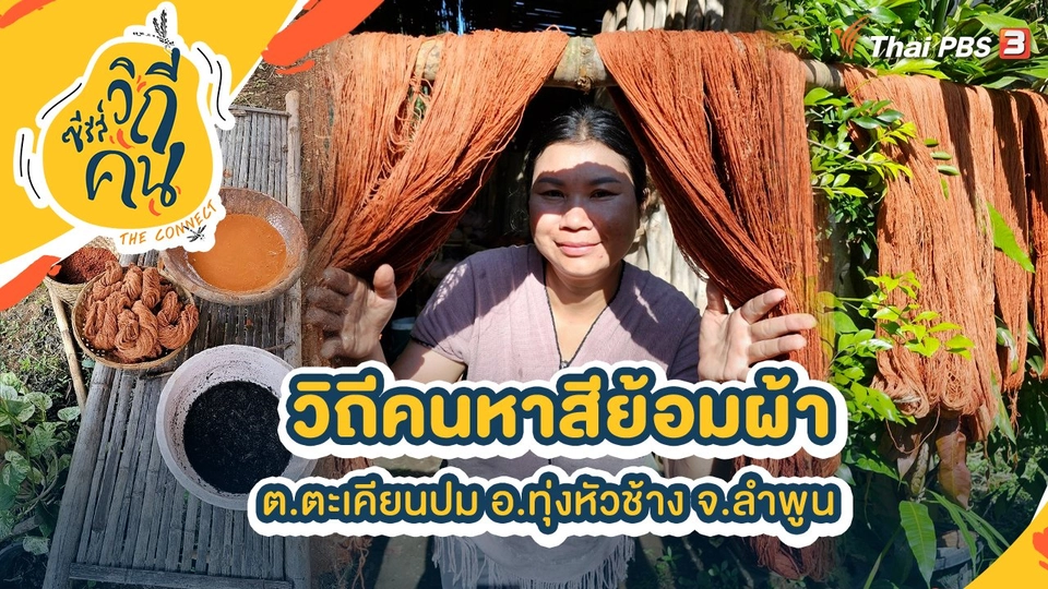 วิถีคนหาสีย้อมผ้า ต.ตะเคียนปม อ.ทุ่งหัวช้าง จ.ลําพูน