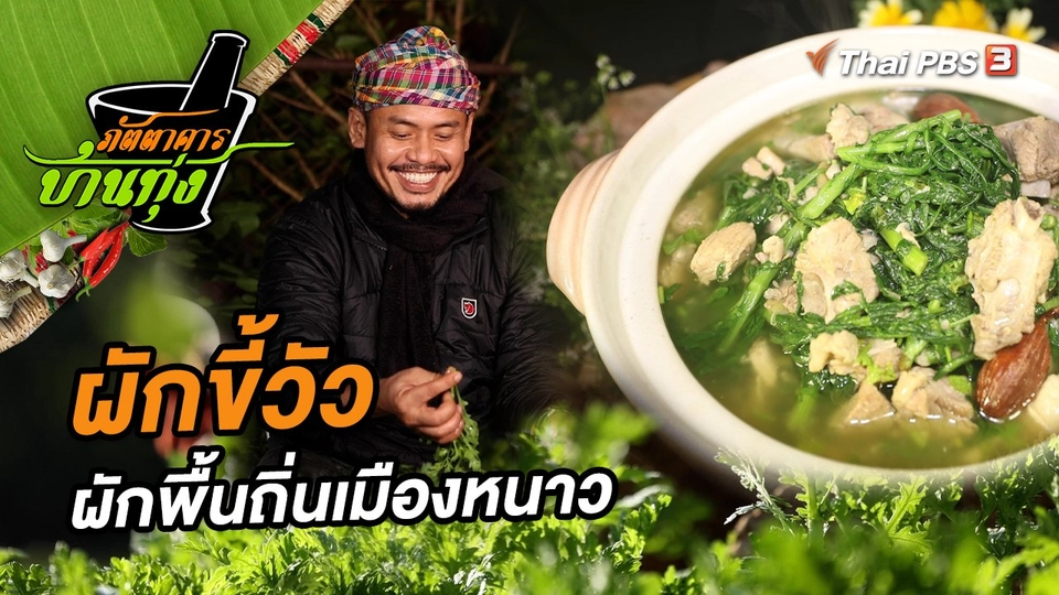 ผักขี้วัว