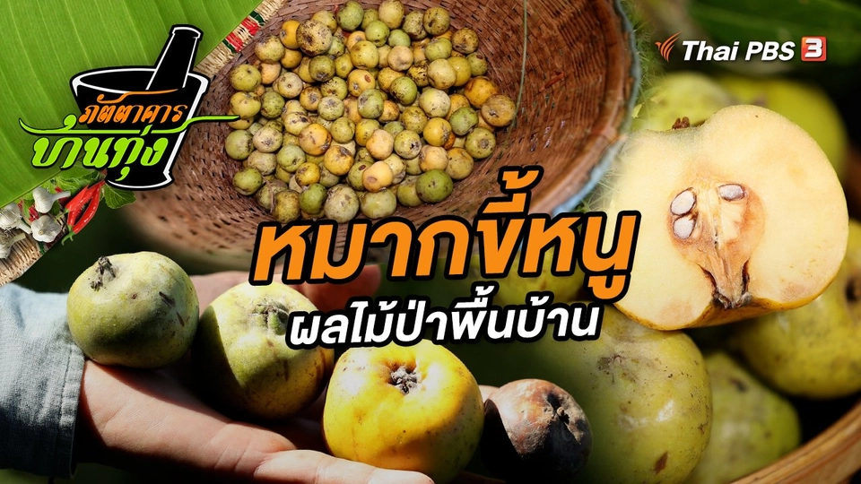 หมากขี้หนู