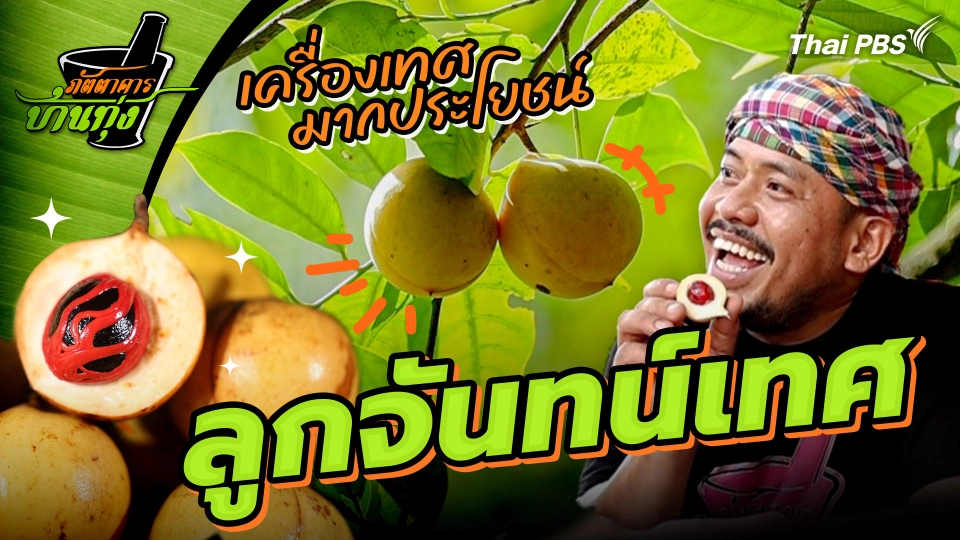 ลูกจันทน์เทศ