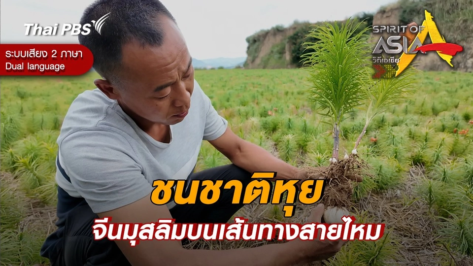 ชนชาติหุย จีนมุสลิมบนเส้นทางสายไหม