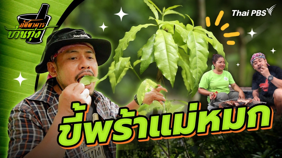 ขี้พร้าแม่หมก