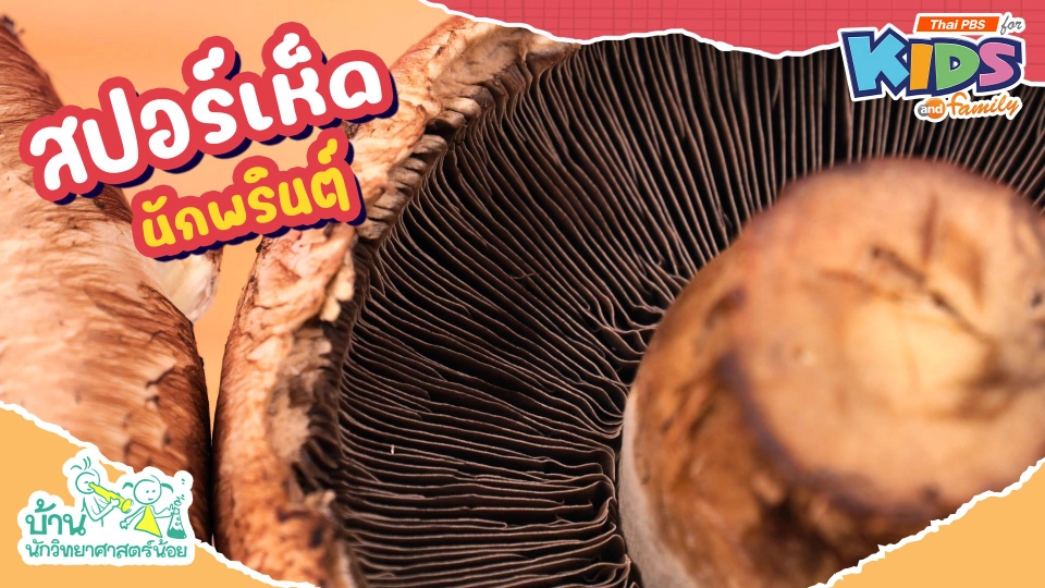 สปอร์เห็ดนักพรินต์