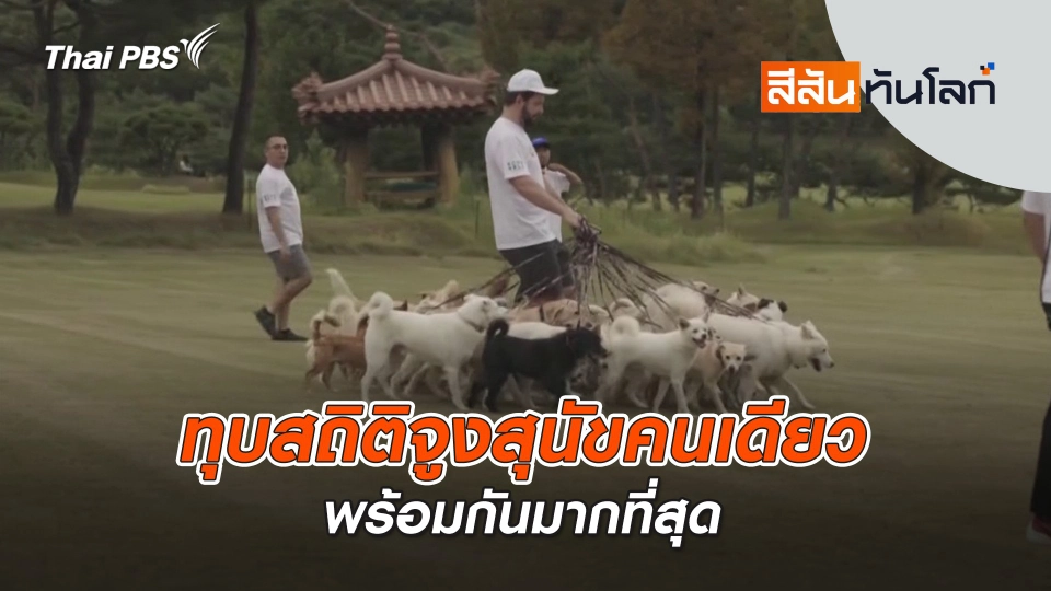 ทุบสถิติจูงสุนัขคนเดียวพร้อมกันมากที่สุด | สีสันทันโลก | 5 ต.ค. 67