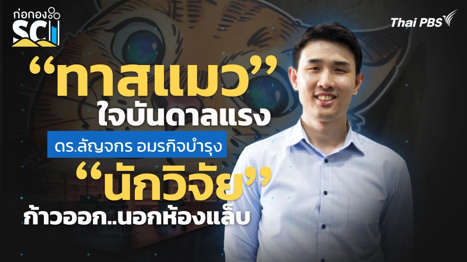 "ทาสแมว" ใจบันดาลแรง "นักวิจัย" ก้าวออกนอกห้องแล็บ | ก่อกอง SCI
