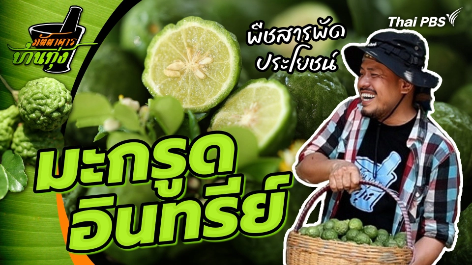 มะกรูดอินทรีย์