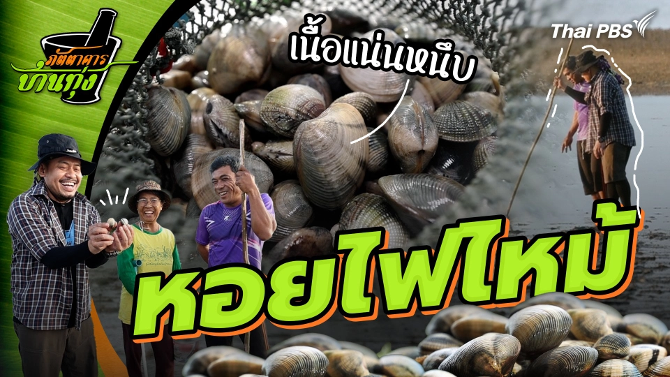 หอยไฟไหม้