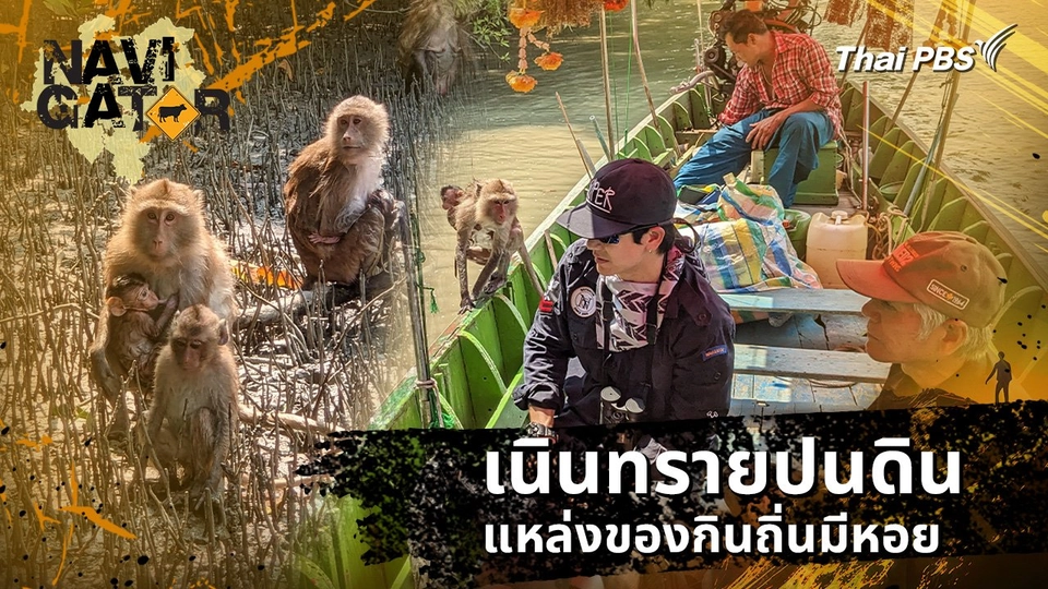 เนินทรายปนดิน แหล่งของกินถิ่นมีหอย