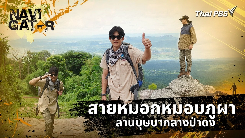 สายหมอกหมอบภูผา ลานบุษบากลางป่าดง