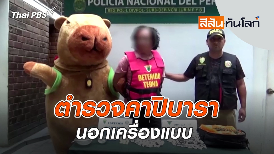 ตำรวจคาปิบารานอกเครื่องแบบ | 22 ก.พ. 68