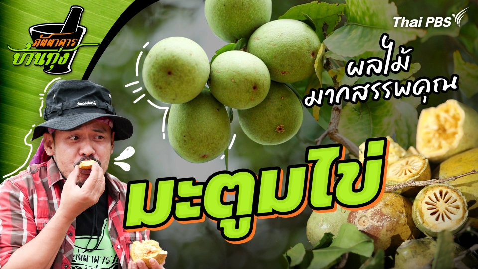 มะตูมไข่