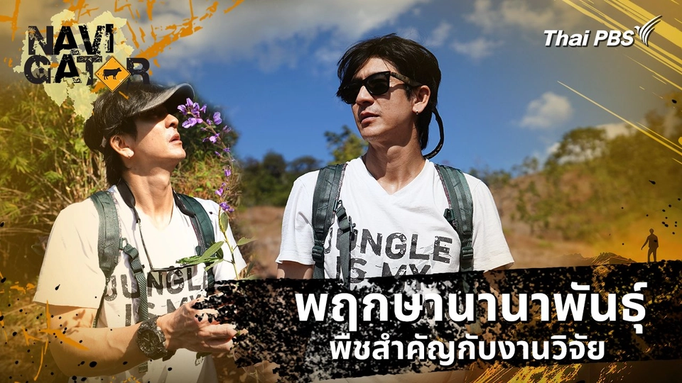 พฤกษานานาพันธุ์ พืชสำคัญกับงานวิจัย