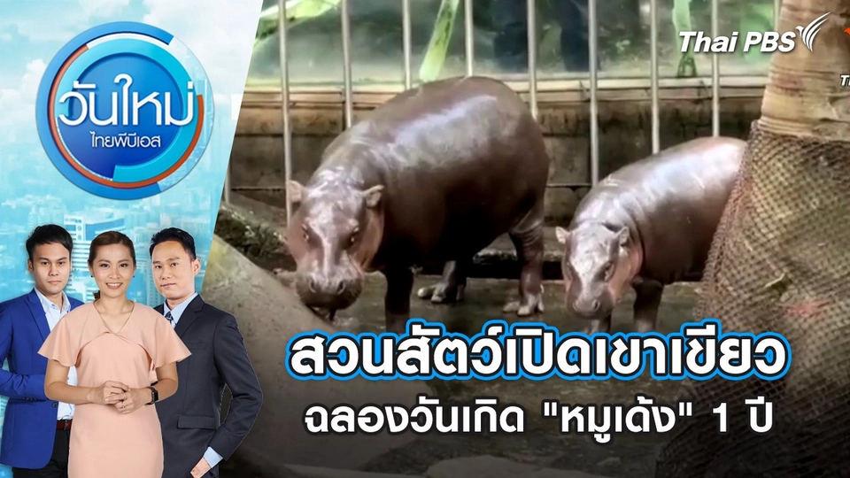 สวนสัตว์เปิดเขาเขียวฉลองวันเกิด "หมูเด้ง" 1 ปี | 11 ก.ค. 68