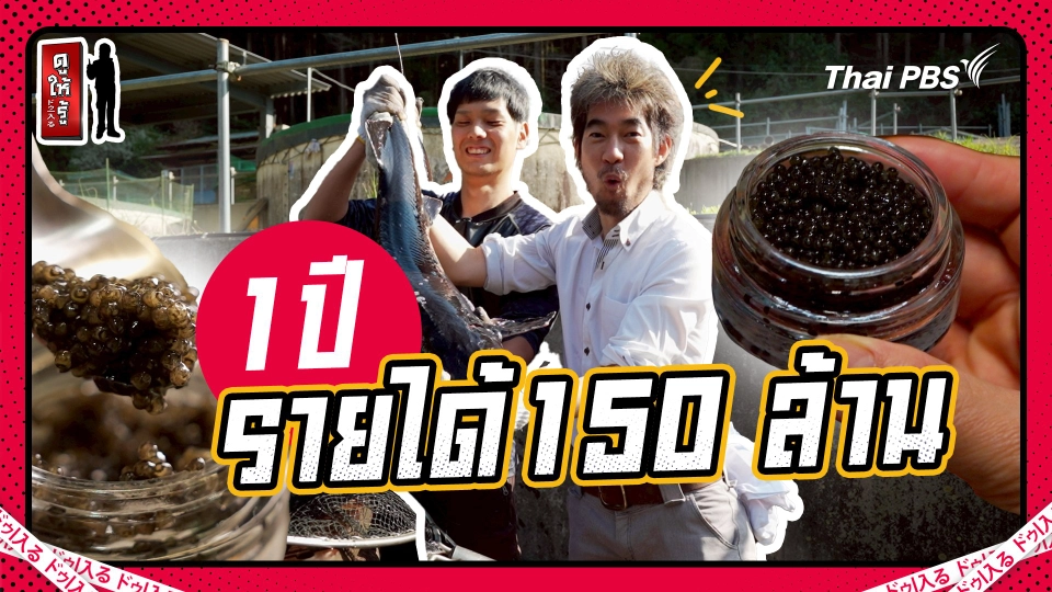 เจ้าของฟาร์มใจถึง 10 ปี ยังรอได้ ขายไข่ปลาได้ 2 ช้อน 2,000 บาท