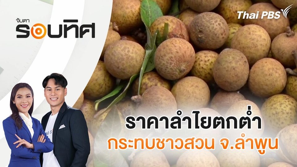 ราคาลำไยตกต่ำกระทบชาวสวน จ.ลำพูน | จับตารอบทิศ | 31 ก.ค. 68