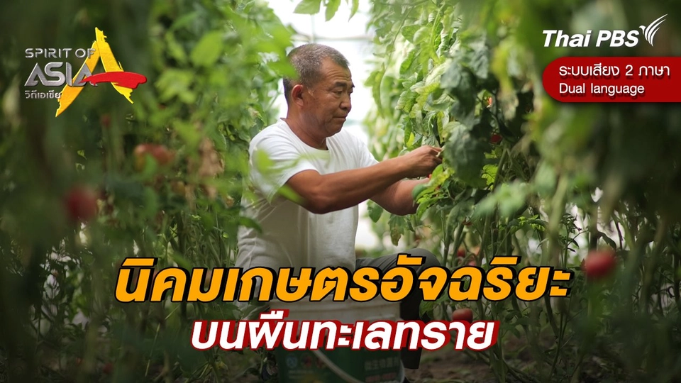 นิคมเกษตรอัจฉริยะบนผืนทะเลทราย
