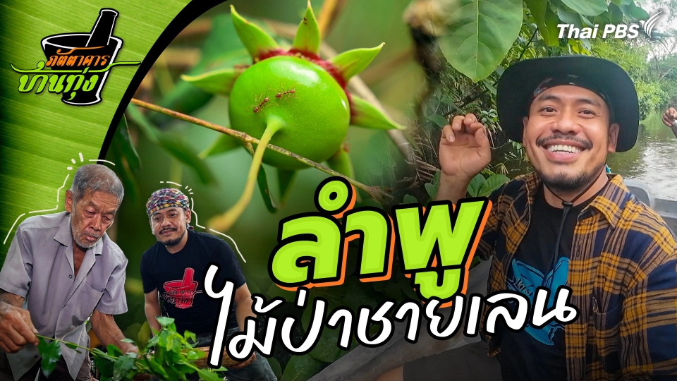 ลำพู